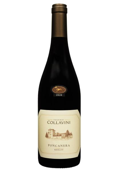 Collavini Merlot di Casa IGT 2020 Venezia Giulia Красное Сухое 0.75 л фото collavini merlot di casa igt 2020 venezia giulia красное сухое 0.75 л
