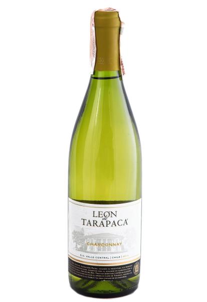 Chardonnay Leon de Tarapaca Белое Сухое 0.75 л фото chardonnay leon de tarapaca белое сухое 0.75 л
