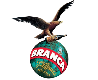 Fernet Branca