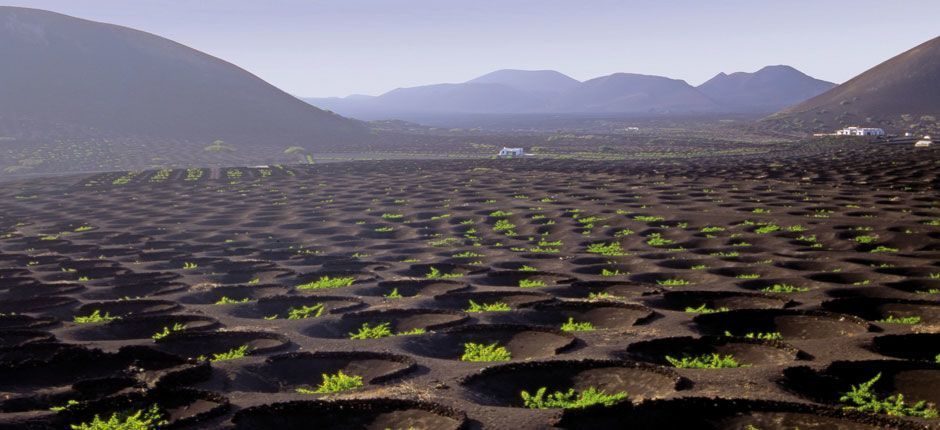 paisaje_protegido_la_geria-lanzarote_6.jpg