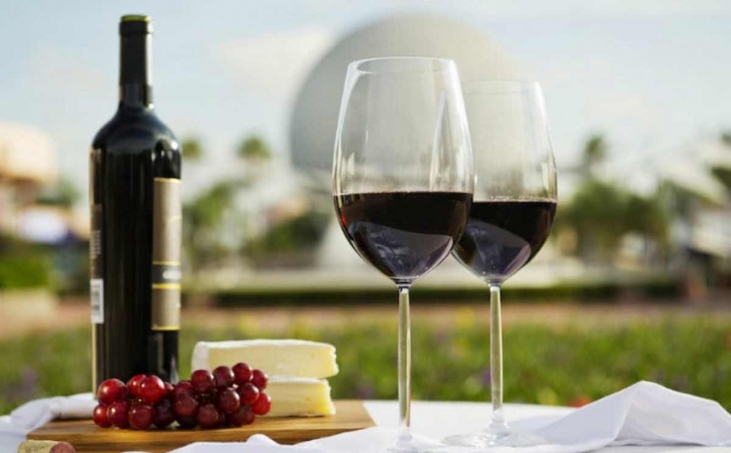 Annual-Wine-Festival-in-Chile.jpg