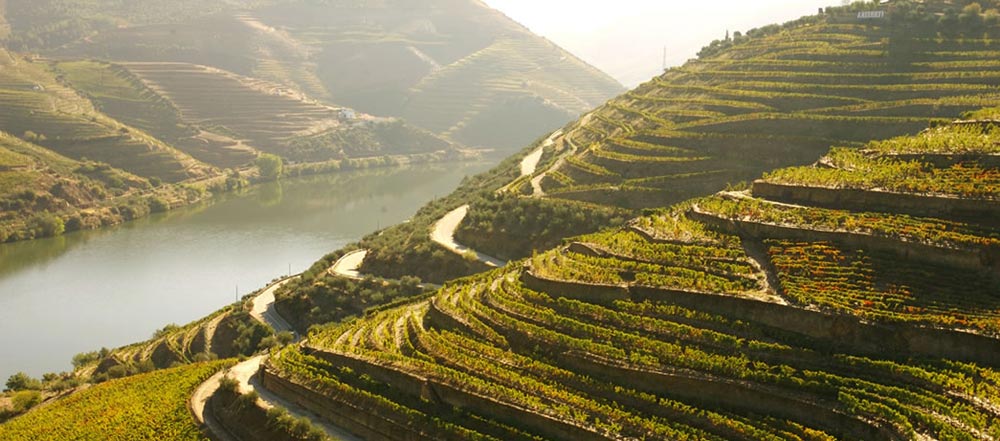 terroir-douro.jpg