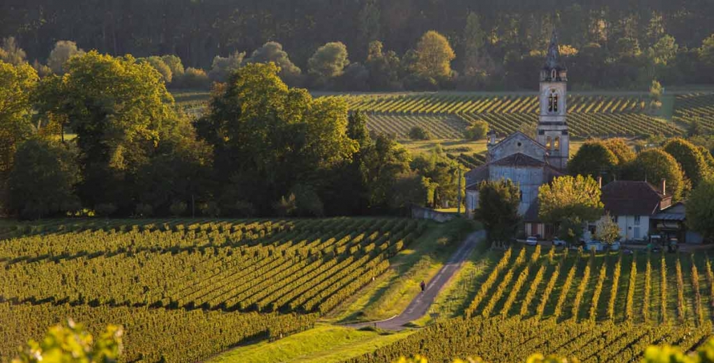 cognac-france-vineyard-south-west-green-hills-1920x1080.jpg