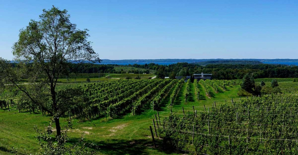 SFD_Emerging_American_Wine_Regions_CR_iStock_JQ_2520x1420.jpg