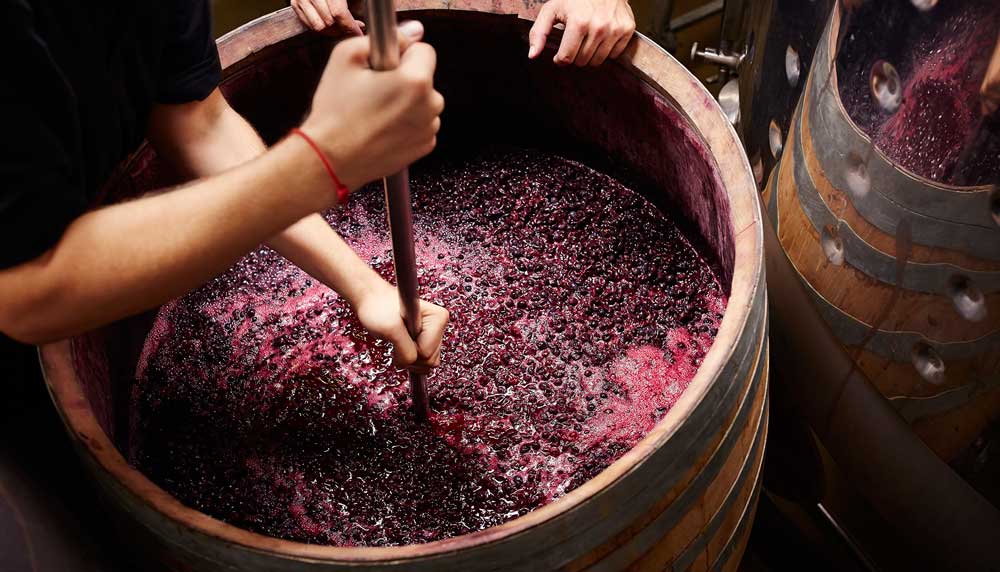 winemaking-526617659.jpg