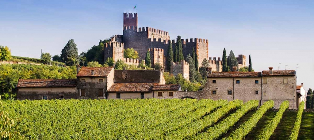 soave-3-crop.jpg