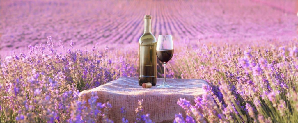 panorama-provence-wine-with-lavender.jpg