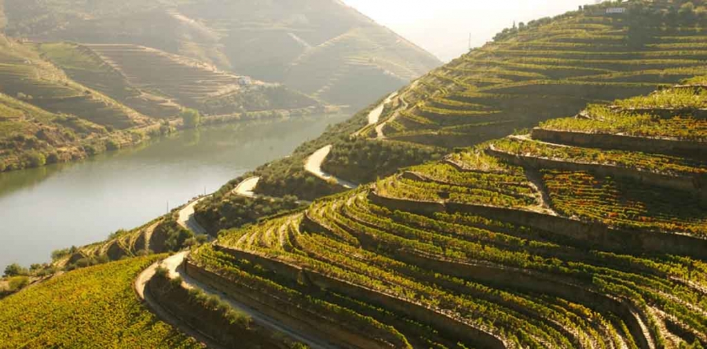 terroir-douro.jpg
