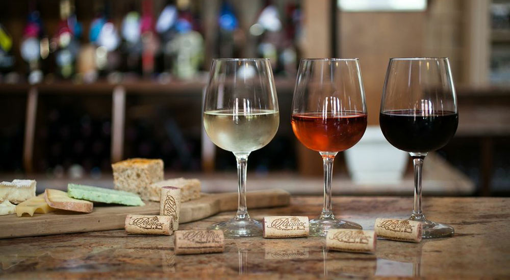 Tasting-Room-02-wine-potomac-point.jpg