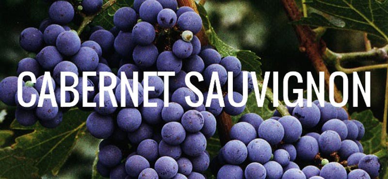 cabernet-sauvignon.jpg
