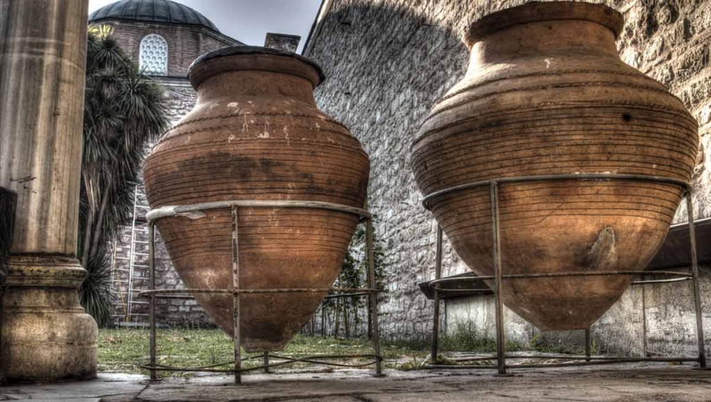 Vine-Vera-Wine-Beauty-History.jpg