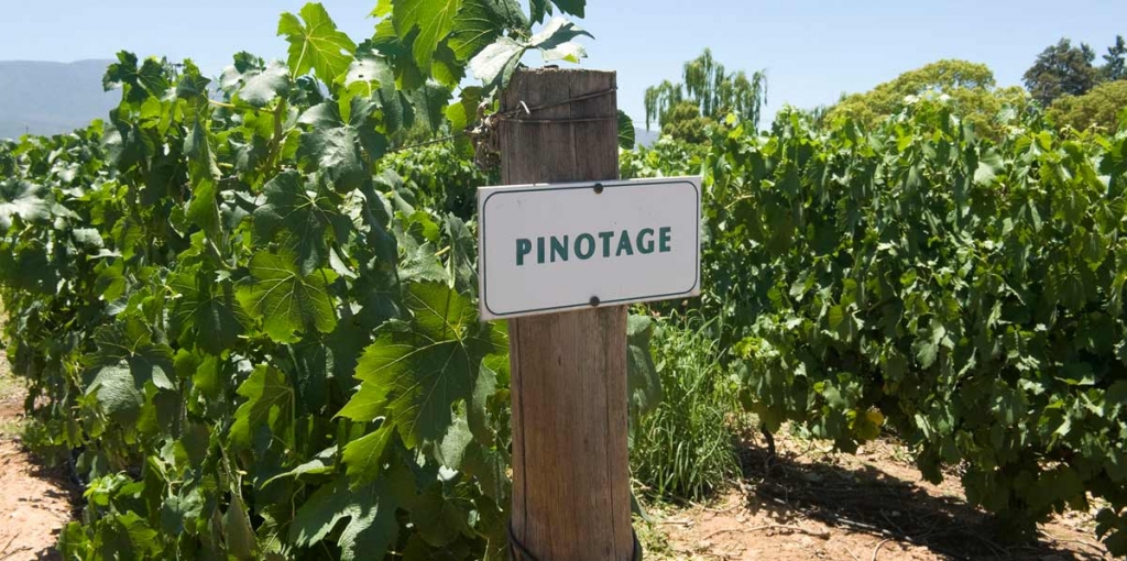 Pinotage_South_Africa.jpg