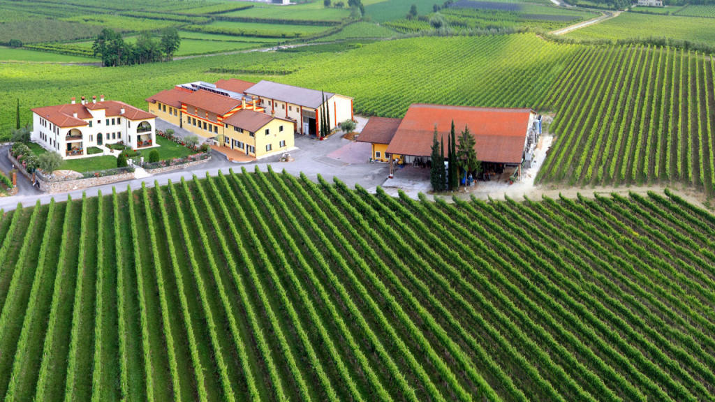 online valpolichella