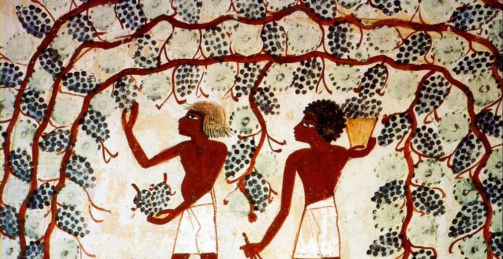 egypt-wine.jpg