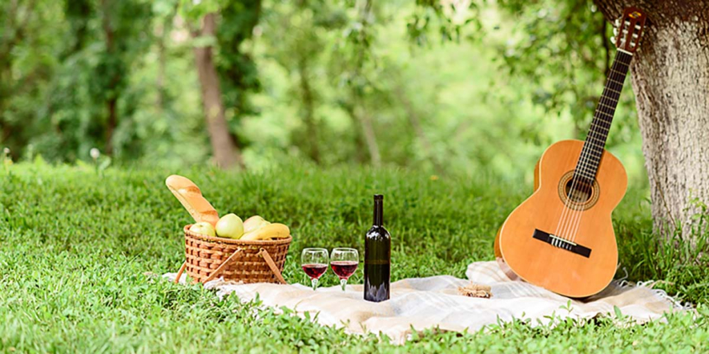 picnic-wine-ideas.jpg