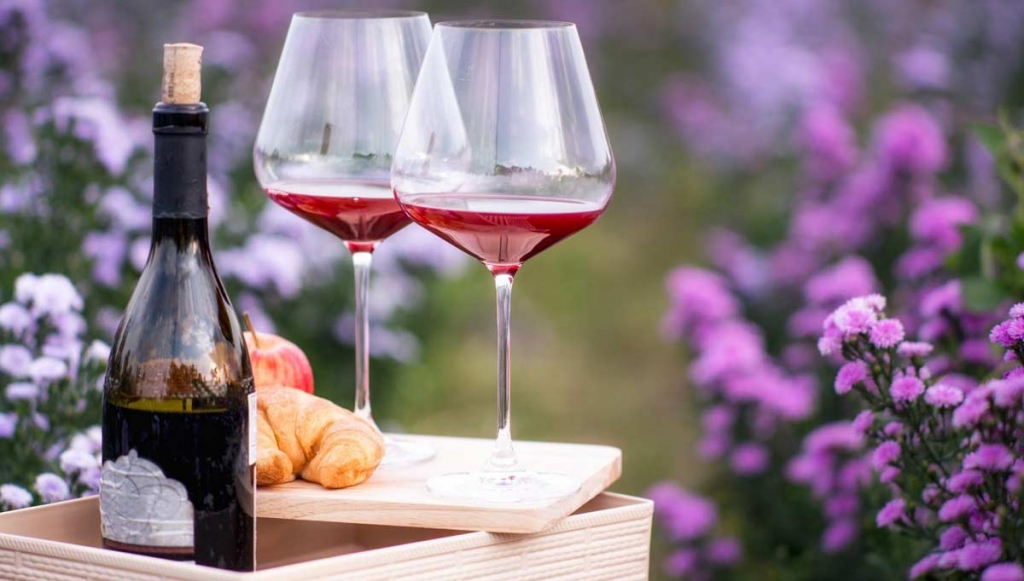 Базовый гид по винам Прованса - Блог Alcomag