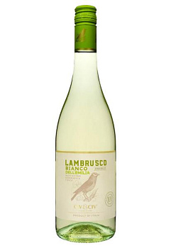 Civ&Civ Lambrusco dell'emilia Bianco Amabile Біле Напівсолодке 0.75 л  civ&civ lambrusco dell'emilia bianco amabile белое полусладкое 0.75 л