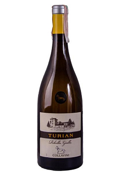 Collavini Ribolla Gialla Turian Colli Orientali DOC 0.75 л collavini ribolla gialla turian colli orientali doc 0.75 л